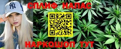 гидра Тара