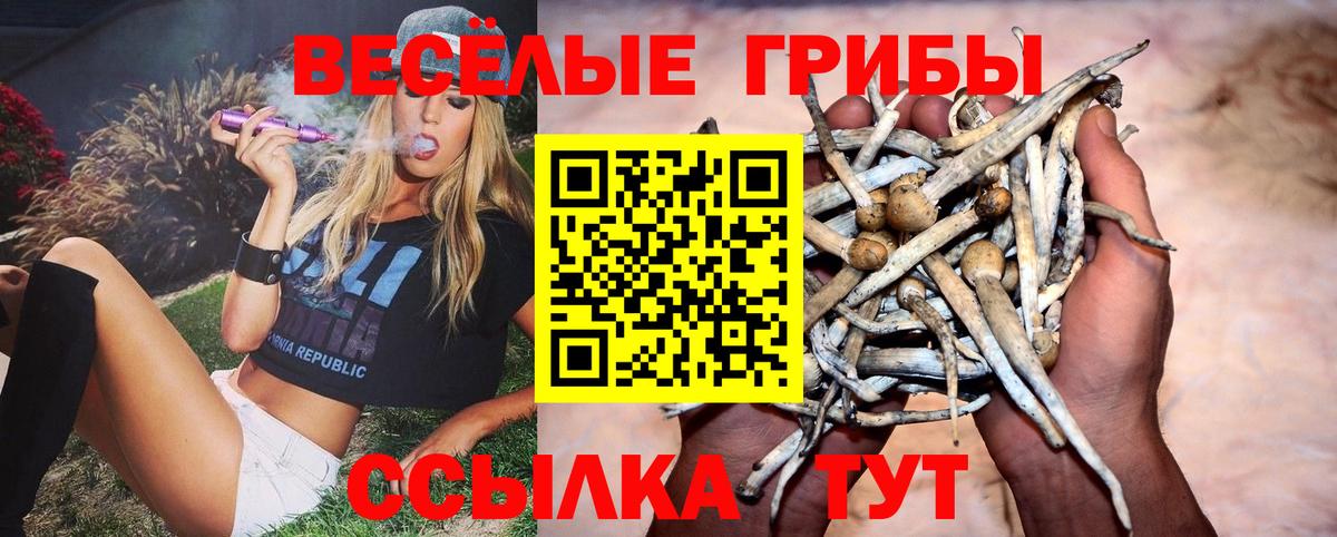 продажа наркотиков  Вход с VPN  Муравленко  Галлюциногенные грибы Magic Shrooms 
