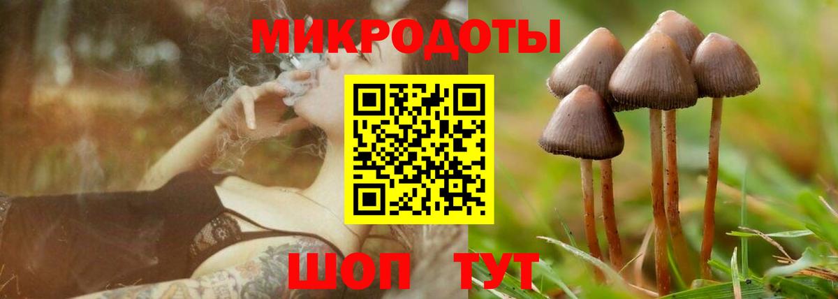 Псилоцибиновые грибы мухоморы Муравленко
